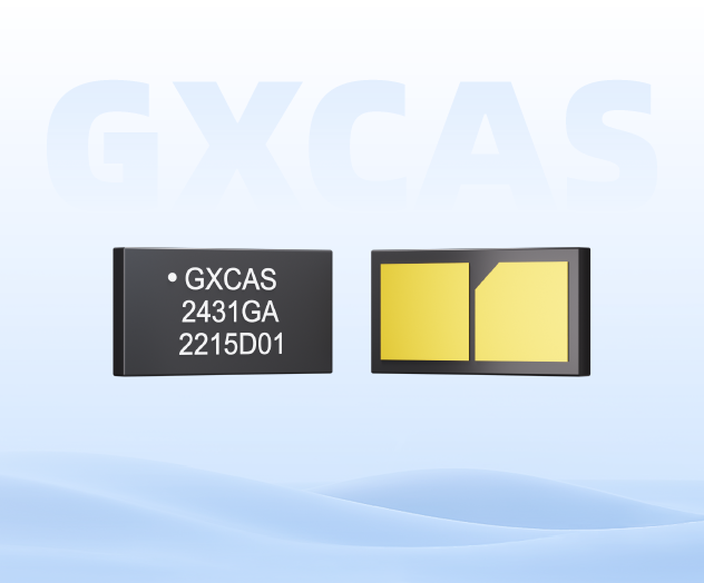 GX2431 产品图片